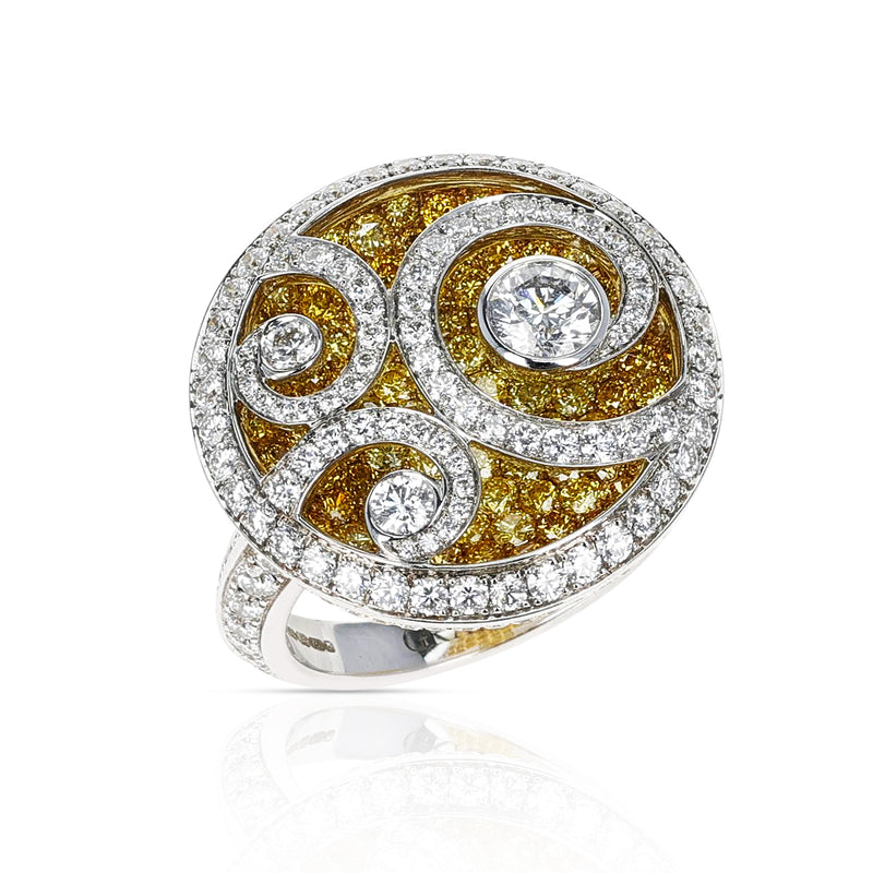 Graff Diamond and Yellow Diamond 'Diamond on Diamond' White Gold Ring